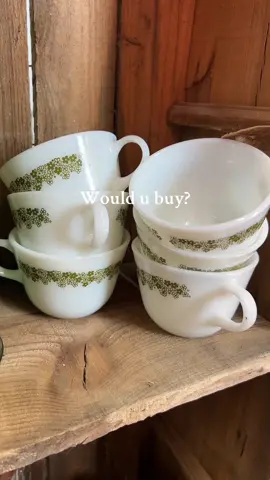 I passed them up bc I didn’t know if the price was good or not 😭  #pryex #thriftersoftiktok #grannycore #thrifthaul #thriftfinds #collectible #antiquefinds 