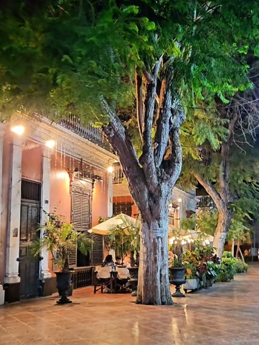 Un lugar lleno de historia, arte y tranquilidad en el corazón bohemio de Lima. ¿Qué recuerdos tienes por el Parque Municipal de Barranco?  @PaisajeAndo @PaisajeAndo @PaisajeAndo  #parquemunicipal #barranco #turismo #lima #peru #limaperu🇵🇪 #callesdelima #limadenoche  #puentedelossuspiros #tourlima #travel #aesthetic #peruanosenelmundo #peruanosenelextranjero #peruanosenchile🇵🇪🇨🇱 #peruanosenusa🇺🇸🇵🇪 #peruanosenespaña🇵🇪🇪🇦 #peruanoseneuropa  #amor   #paisajeando #amen #sequetunoestassolo #creatorsearchinsights 
