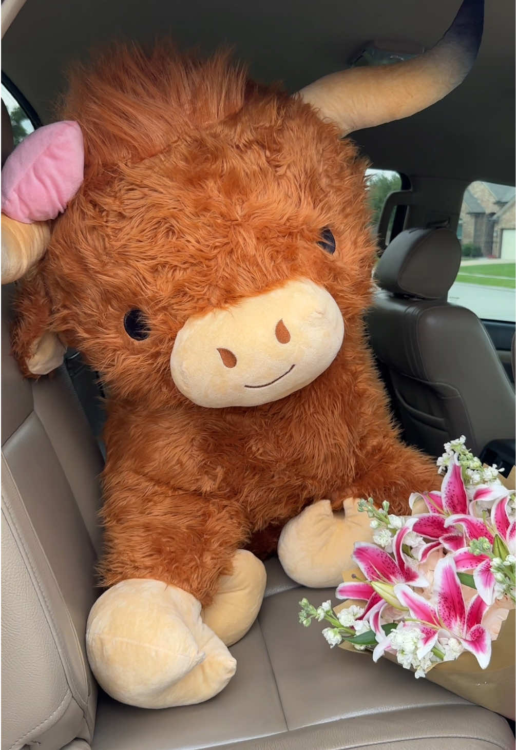 highland cow & lilies a dream 🎀🥹 insta: isabels_flores #bouquet #flowers #lilies #western #cow #lily #lilybouquet #isabelsflores #lilie #spring #ramo #coquette #supportsmallbusiness #gf #forher #hibiscus #highlandcow #roses #florista 