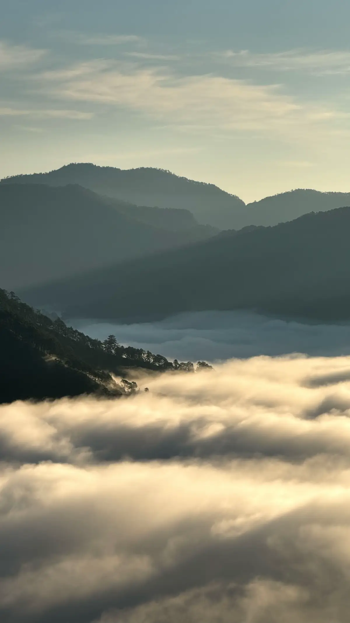 — postcards: God's creations 🤍 #sagada #fyp #nature #mountain #seaofclouds #life 
