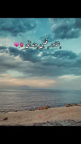 #بندق #foryou #mention #fypシ゚ #L 