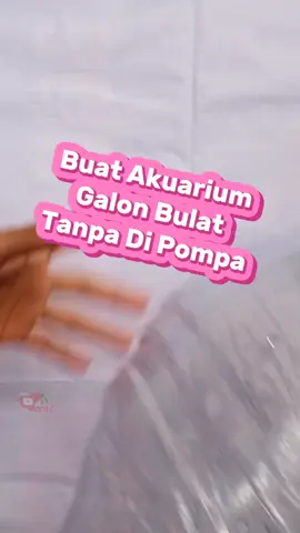 Buat akuarium galon bulat tanpa dipompa #akuarium #akuariumgalon #akuariumlemineral #akuariumbulat 