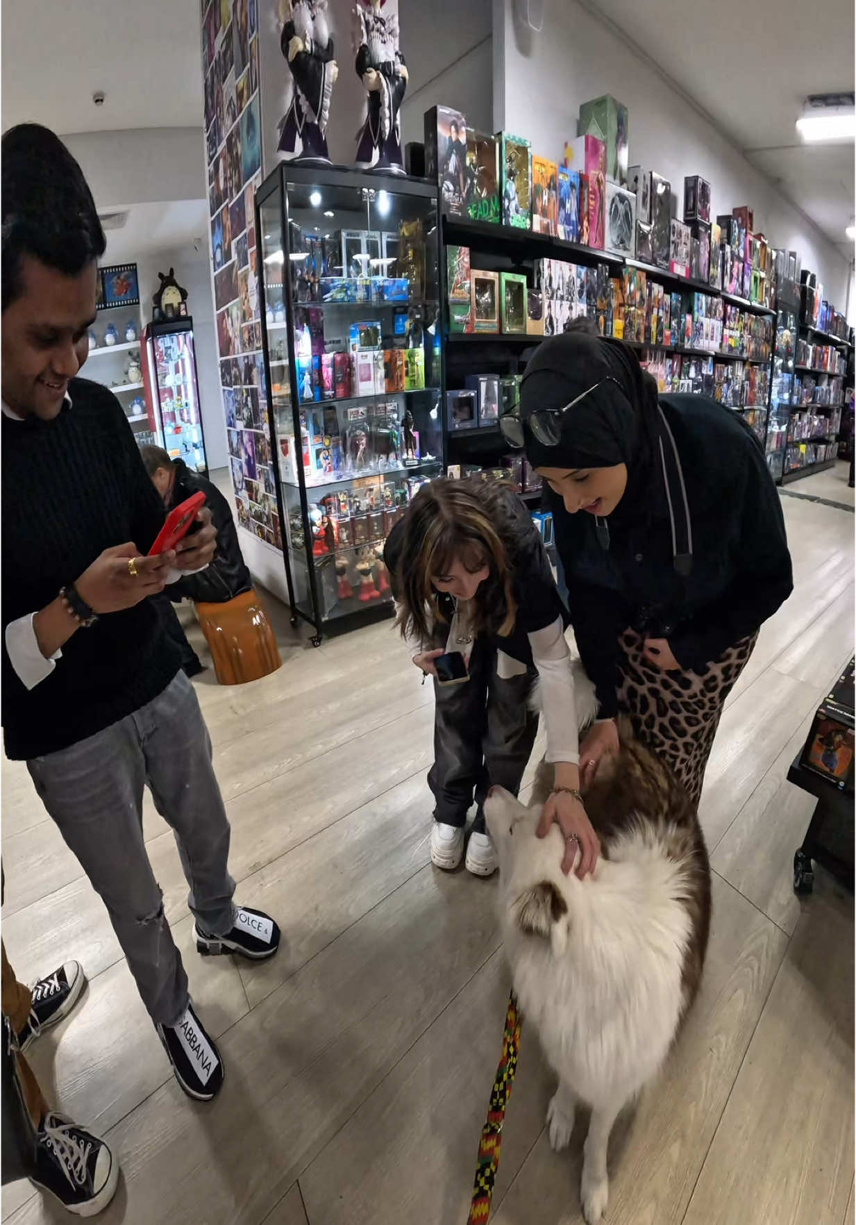 Interactions with Viola!!  #doglover #violasnow #anime #onepiece #fyp #foryou #viral 