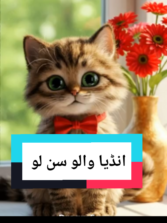 India walo Sun Lo #cattalking #talkingcat #catai #aicat #aivideos #indiapakistan #pakistan #jang @ᒪᗩᎥᗷᗩᗯᖇᎥ丅ᗴᔕ🥰 @TiktokPakistanOfficial 
