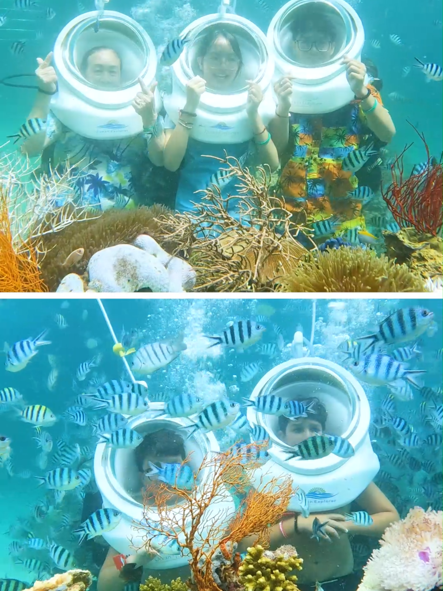 Xuống tới đây rồi thì cũng phải làm nền cho cá thôi #oceanpearlisland #phuquoc #xuhuong #vietnamtravel #fpy #tiktoktravel #เที่ยวเวียดนาม #vietnam #ฟูก๊วก #tiktokviral #ocean