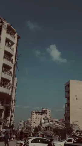نموت كي يحيى الوطن #explore #gaza #war #masukberanda #video #fypシ゚ #jkt48edit #غزة #فلسطين #ترند 