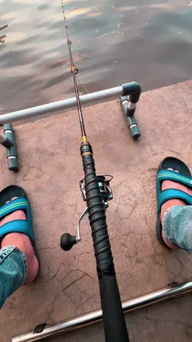 Butuh waktu adaptasi lagi..dari umpan cinil ke umpan lontongan ....New kawaluyaan 🎣🎣🔥🔥 #galatama #lombamancing #lombamancing #fishinglife #fishing #mancing 