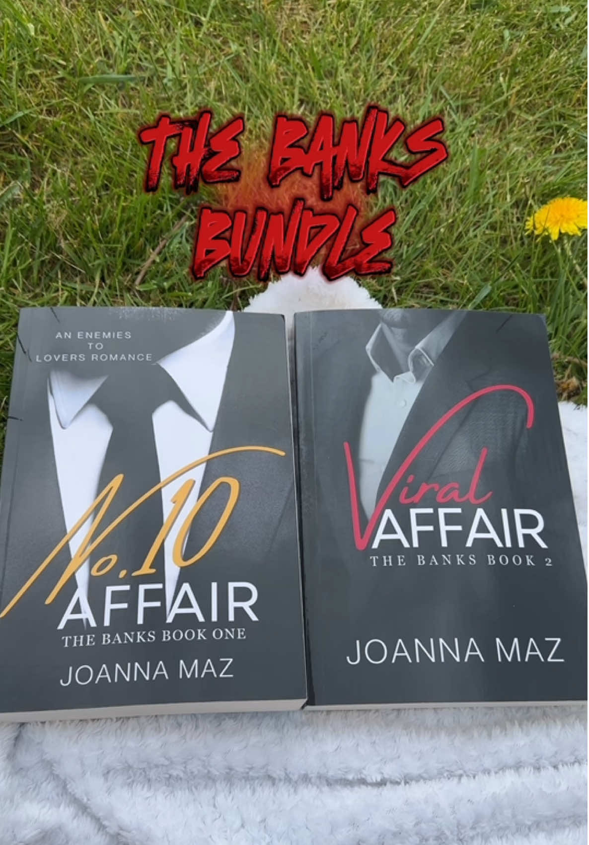 Have you read them yet? ❤️‍🔥 @Snowesistersbooks #banksbookbundle #enemiestolovers #romancebooks 