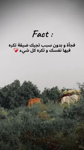 #nature #تونس🇹🇳 #fact 