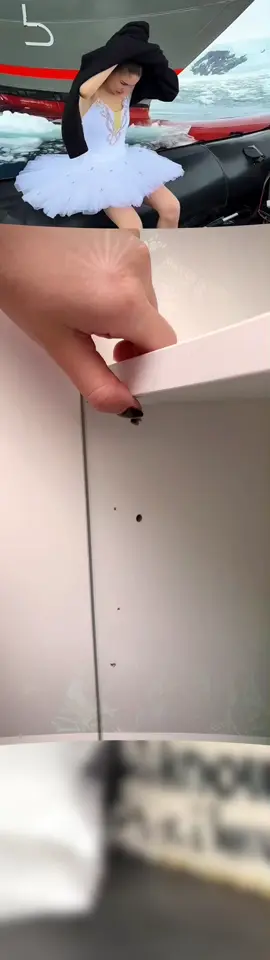 Fix wobbly or broken cabinet shelves in seconds with this genius Partition Drag! 🔧✨ Just stick it underneath, pop the shelf on top, and boom — stable, organized storage with zero tools! 😍 Perfect for renters, DIY lovers, and anyone tired of chaotic cabinets 🙋‍♀️🙋‍♂️ #HomeHack #TikTokMadeMeBuyIt #AmazonFinds #ApartmentLiving #DIYHome #StorageSolutions #OrganizeWithMe 🛒 Don’t wait—grab yours now and upgrade your space effortlessly!#tiktokshopspringglowup #spotlightfinds 