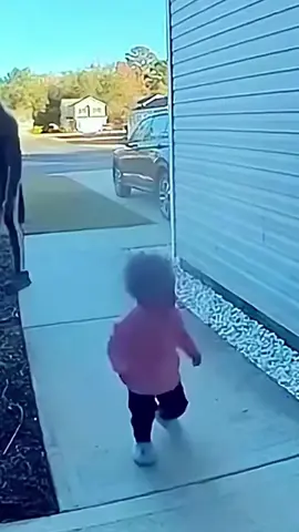 Dog and baby.🤣#dog #dogsoftiktok #dogtok #dogs #funnyvideos #funny #foryou #doglife #dogfunnyvideo 