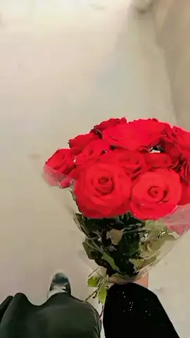 شو نوع الورد بتحبو ؟🌝♥️🌷.#لما_يهل_الورد_البلدي_كل_الورد_يخاف #fyyyyyyyyyyyyyyyy #تصويري_احترافي_الاجواء👌🏻🕊😴 #تصويري📸 #مالي_خلق_احط_هاشتاقات #الشعب_الصيني_ماله_حل😂😂 #fppppppppppppppppppp #ورد_طبيعي #لايك #اكسبلورexplore #كومنت #pourtoi 