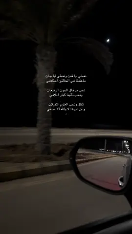 #الوجه_تبوك #الوجه #تبوك_الان 