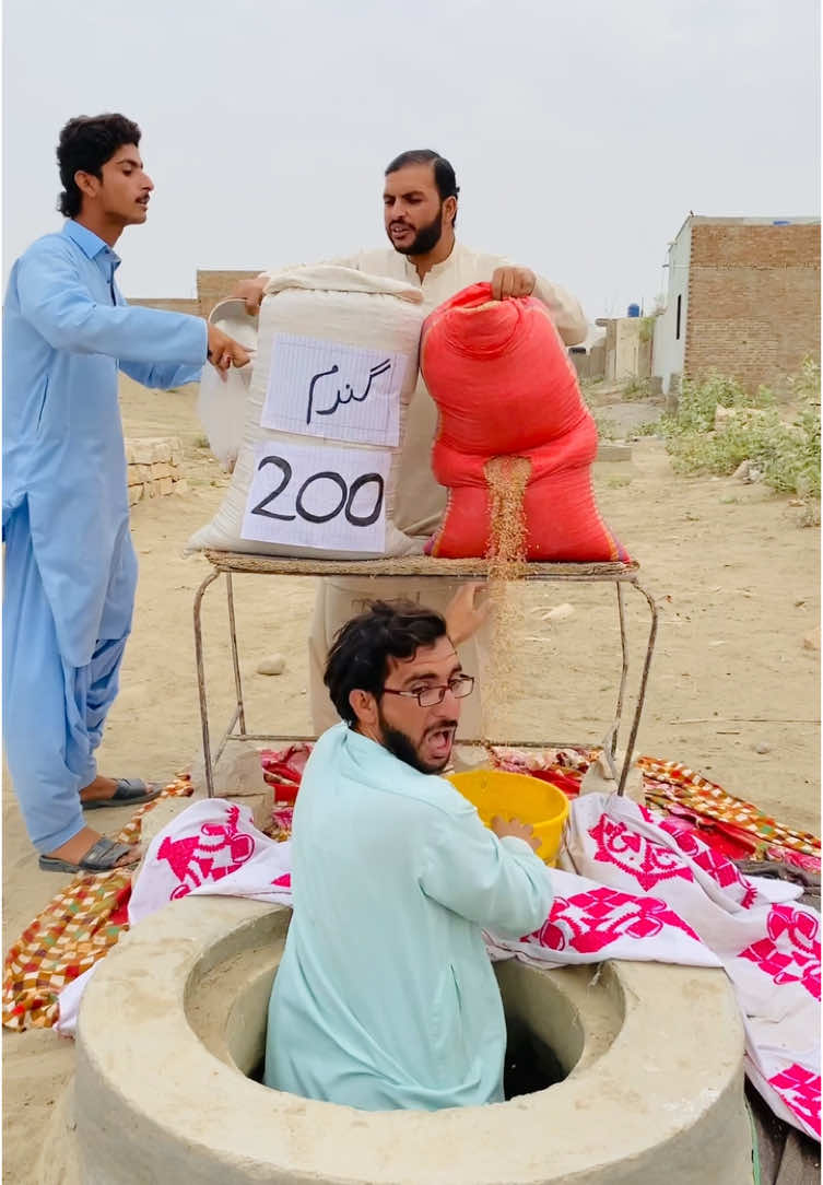 Gandum 🌾ke chori q ke?#teamshafqat#fyp#viralvideo #funnyvedeo#shortstory#unfreezaccount#usatiktok#teamshafqatextra#foryoupage #zamzamelectronics 