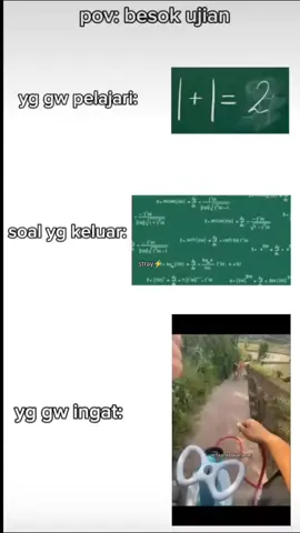 #stray #tepresak #tepresakanimal #lewatberanda #berandatiktok #funnymeme #fyppppppppppppppppppppppp #xybca