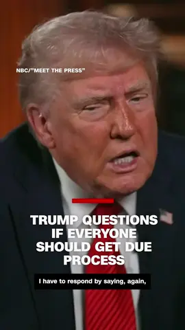 During an interview with NBC's Kristen Welker, President Donald Trump questioned whether undocumented immigrants should get due process rights under the US Constitution. Gov. Kathy Hochul (D-NY) responds to Trump's controversial comments. #CNN #News