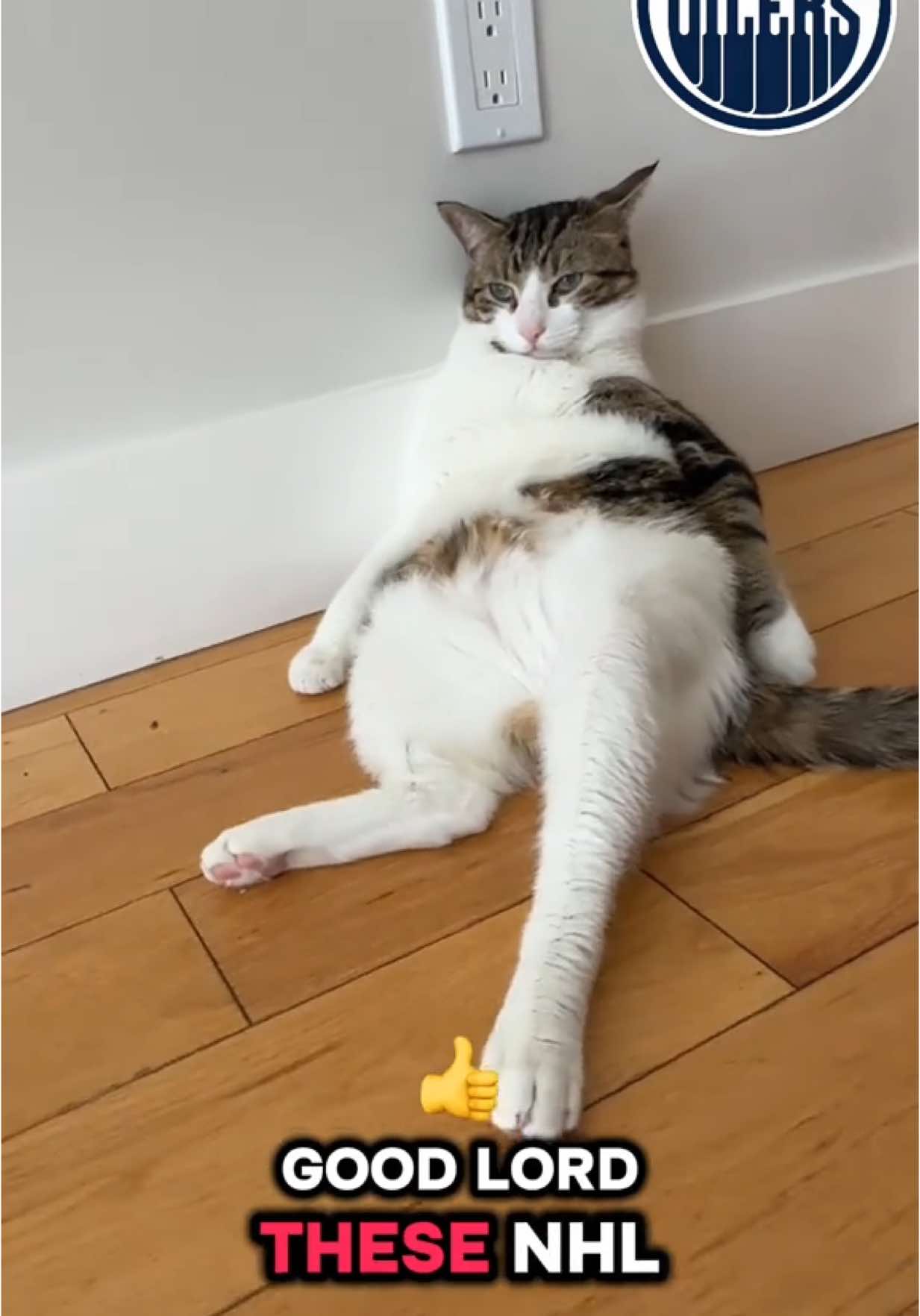 “This hungover cat barely survived Round 1 🥴 of NHL Playoffs… and there’s still THREE more to go?! 😩🐾” Then continue with: Playoff mode: activated 🏒… but also absolutely DONE 😵‍💫. This cat’s been riding the Oilers wave 🌊 since Round 1 and is hangin’ on by a whisker 🐾. Can’t party like McDavid 🍻 forever — fur real. Let’s gooooo Oilers 🔵⚪️🟠… just lemme nap first 😴. #NHL #NHLPlayoffs #EdmontonOilers #Oilers #ConnorMcDavid #PlayoffHungover #HungoverCat #CatsofInstagram #FunnyCats #CatMemes #CatsWatchingTV #ExhaustedCat #PlayoffMood #FelineFatigue #SleepyCat #CatNapLife #LetsGoOilers #ViralCat #HockeyCat #CaturdayEveryday #MeowAndChill #CapCut 