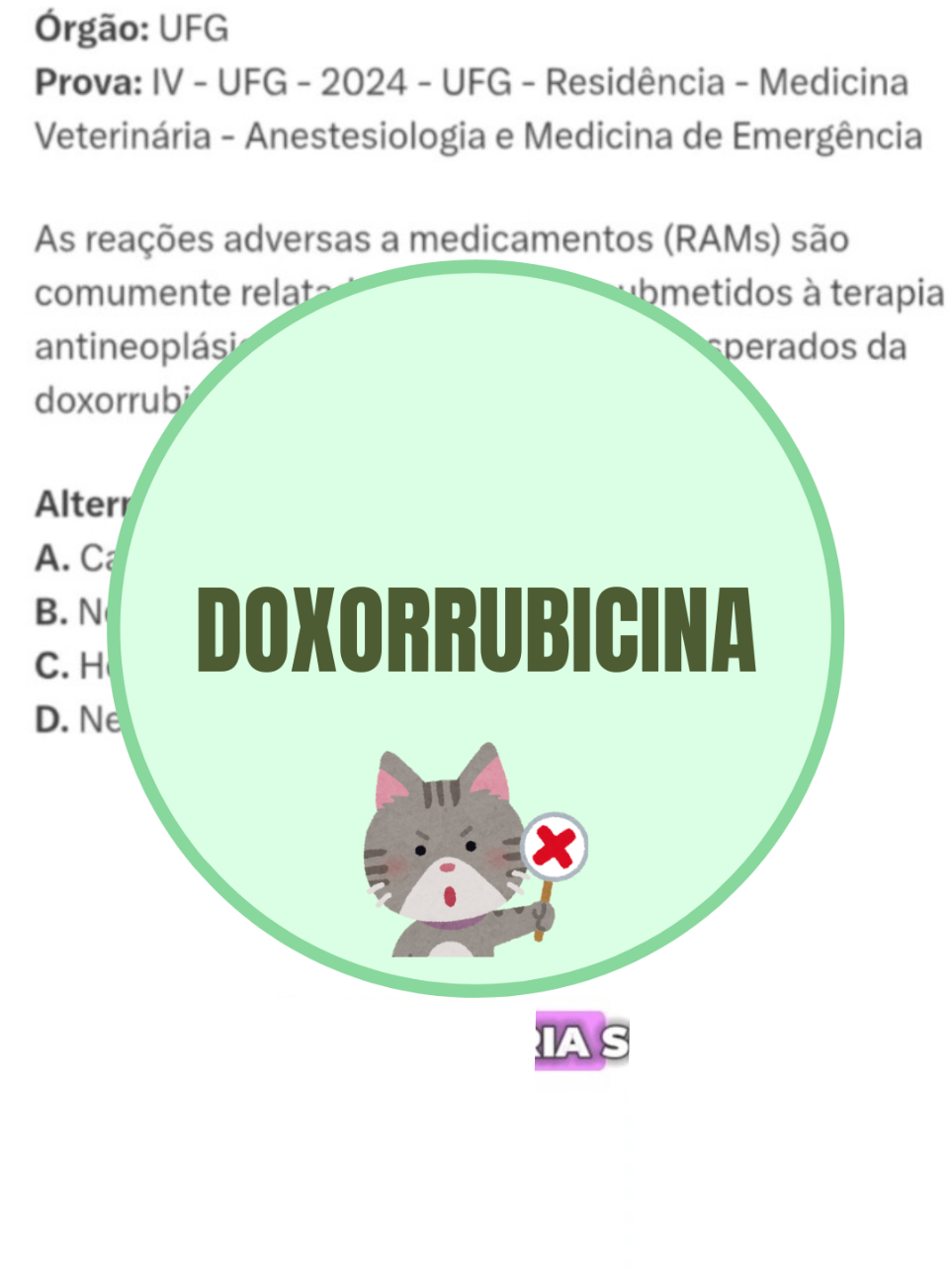 🐱 Questão sobre o quimioterápico Doxorrubicina! 👉🏻 A doxorrubicina é um quimioterápico muito usado no tratamento de câncer em cães e gatos, como linfoma, sarcomas e carcinomas. Apesar de eficaz, em cães, pode causar efeitos colaterais, principalmente no coração, sangue e sistema gastrointestinal, exigindo monitoramento frequente durante o tratamento. Em gatos, o uso deve ser ainda mais cauteloso, especialmente em animais com problemas renais ou imunossuprimidos. #ConcursoVeterinário #ResidênciaVeterinária #QuestõesVeterinárias #EstudoVeterinário #DicasDeEstudo #respondendoquestões #vaiprofycaramba #fyp  #Veterinária #ConcursoPúblico #EstudoParaConcursos #Veterinária #doxorrubicina #quimioterapia 
