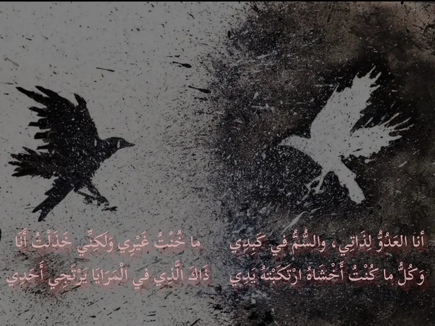 الصراع في هذه الأبيات يمكن تجسيده من خلال تفاعل الطائرين اللذين يتواجهان في هذا المشهد الرمزي. على خلاف ما اعتدناه من رموز، يمثّل الطائر الأسود هنا النقاء الداخلي الحقيقي، ذلك النقاء الذي لا يتظاهر ولا يتجمّل، بل يحمل في سواده صدق الألم ومرارة التجربة. هذا الطائر، القادم من خلفية يغلب عليها البياض، يوحي بأن الخير الحقيقي لا يصدر عن البياض الظاهري، بل عن التجربة التي عرفت الظلام ولم تغرق فيه. السواد هنا لا يعني الشر، بل هو رمز لذات الشاعر التي جُرحت وتطهّرت عبر الصراع، الذات التي تعترف: 