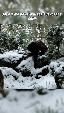 SOLO Two Days WINTER BUSHCRAFT Camp #build #bishcraft #survivalbushcraft #Outdoors #survival #asmrsounds #camping #camper #camp #fyp #heavyrain #tent #bushcraft