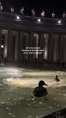 evenings in the lovely Vatican City 🤍 #italy #travel #vaticano #fyp #rome 
