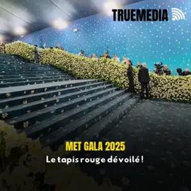 MetGala2025 #metgala2025 