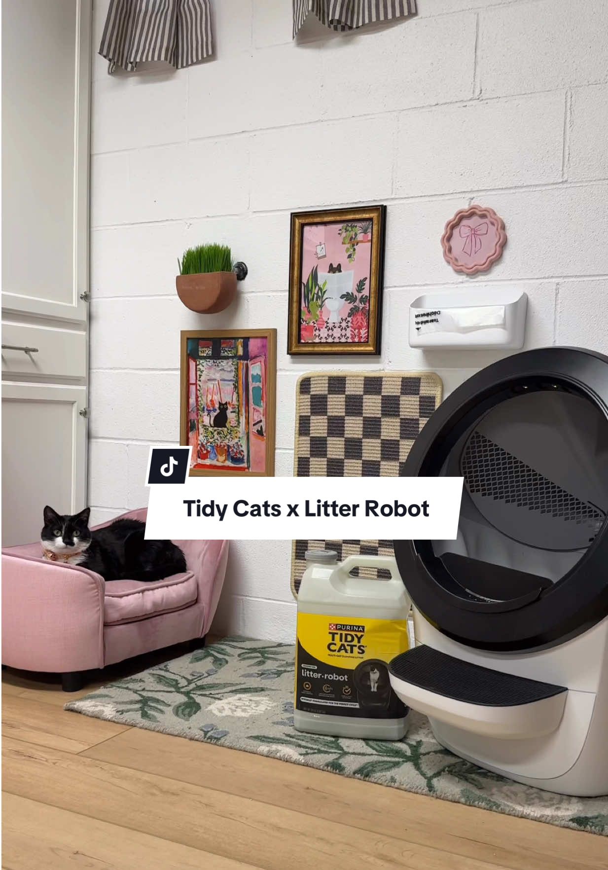 Our cats have their own bedroom, but their litter box situation was always less than ideal for us. #ad It was annoying to scoop it ALL THE TIME! We've had a Litter Robot for a few years, but it didn't fit in their room & we didn't like leaving it out in our living room. So we came up with a solution! We made a new set up in our laundry room for the Litter Robot and paired it with Tidy Cats Designed for Litter Robot! This litter is a game-changer with its cap & handle design which makes pouring it into the Robot easy and with less mess. It has powerful odor control, motion activated revitalizing scent and its hard & fast clumping, which is all MUCH needed with two cats! With their new Litter Robot set up, that leaves some empty space in their bedroom, what should we do here?! FUN IDEAS ONLY Be sure to try Tidy Cats for the Litter Robot for your purrrfect litter cycle! #TIDYCATSPARTNER