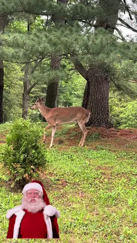 #santa 