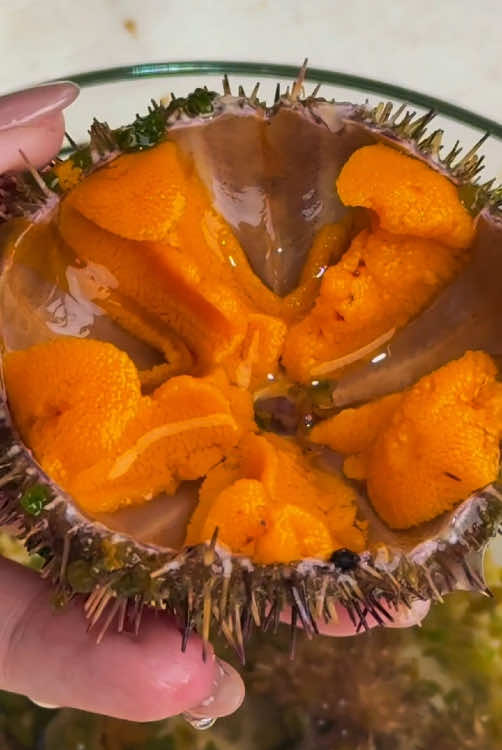 😍😍😋😋#seafood #asmr #satisfying 