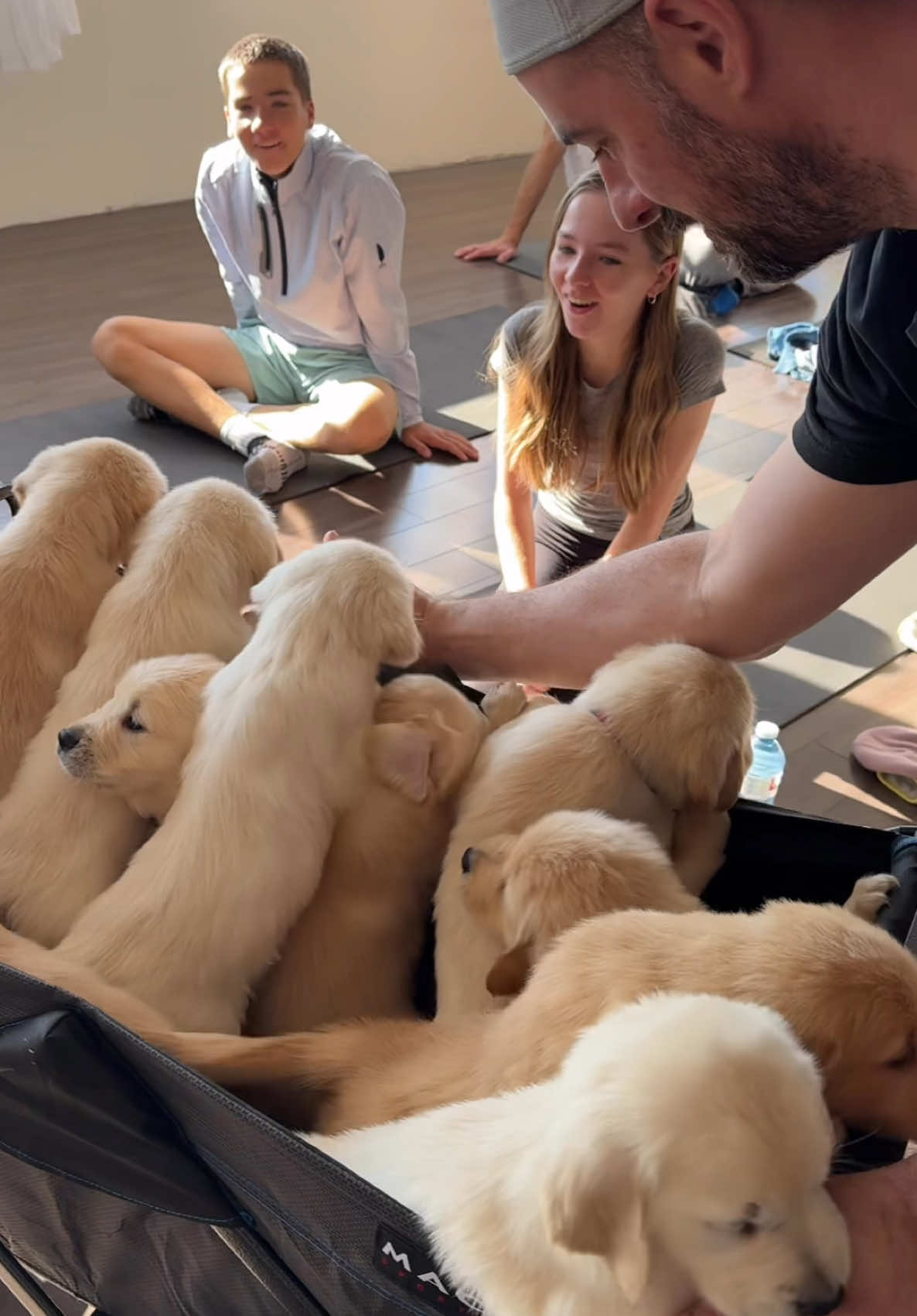 We tried to do yoga. The Golden Retrievers had other plans!  There's joy in the chaos!   #GoldenRetrieverPuppy #PuppyYoga #DogLoversOfInstagram #YogaWithDogs