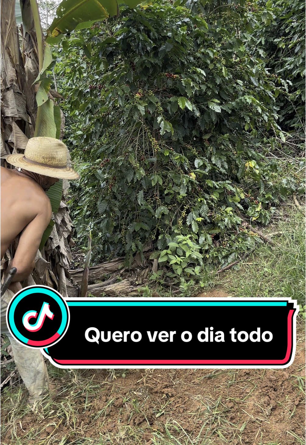 Ninguém aguenta #trabalhomanual #agro 
