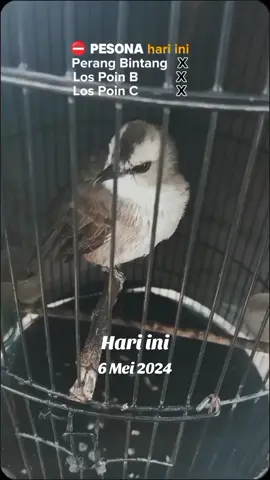 #padahariini