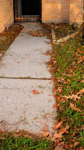 Let’s work!#CleanTok #landscape #lawnmower #satisfyingvideo #yardwork #lawncare #gardencleaning #trending #asmr #satisfying #amazing