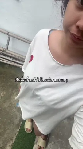 แมวปกติร้องยังไง