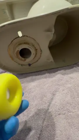 They were so happy to have that donut back 