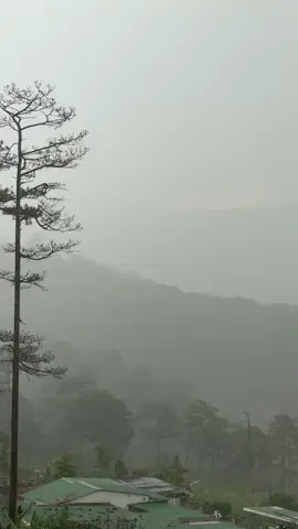 Lại là một chiều mưa Đà Lạt #TikTokAwardsVN #abcxyz #fypシ゚viral #TikTokLIVE #trending?song🔥 #tamtrang #dalat #tinhyeu #trungquanidol 