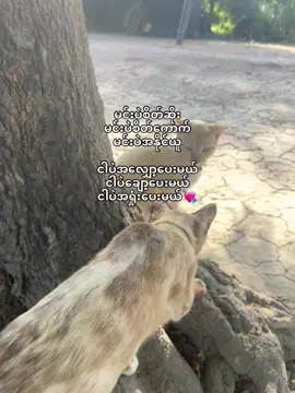 🥺#foryou #fyp #tittok #foryoupage #views 