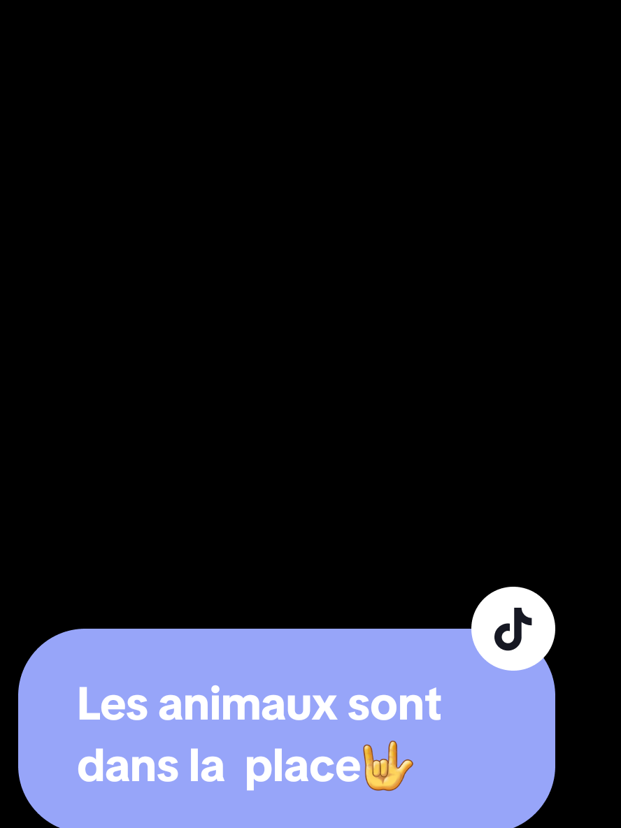 Les #animaux du#château 