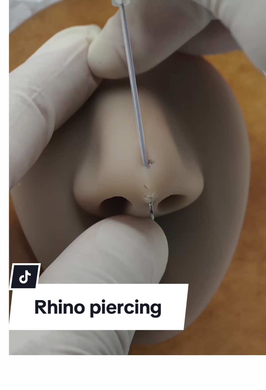 Rhino piercing #rhinopiercing #piercing #piercings #piercingtok #piercingstudio #piercinglovers #piercingcheck #piercingsoftiktok #vairal #fyp 