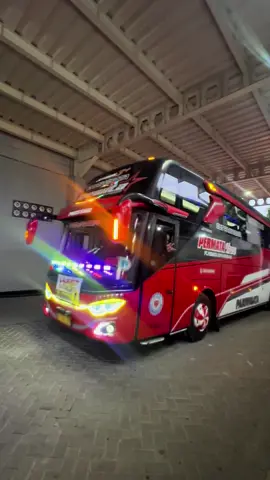 Terimakasih banyak lurr 🙏🏻🙏🏻 #brawijayaoleholeh #permatatrans #busmania #busmaniacommunity #epngroup 