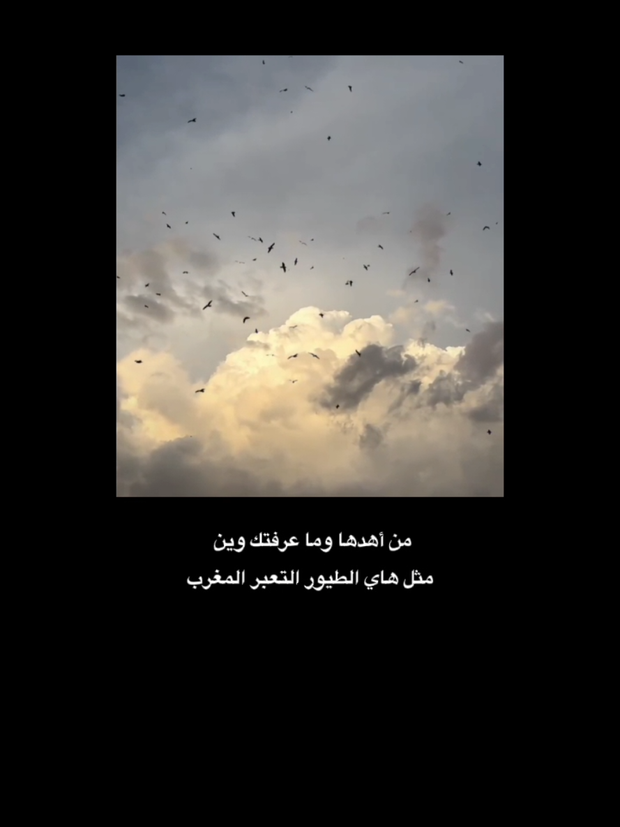 - 👑🤍 - #كلايدر #ستوريات_شعر #شعر #ستوريات #شعر_قصير #شعر_شعبي #شعر_شعبي_عراقي #شعر_عراقي #ستوريات_انستا #شعراء_الجنوب 