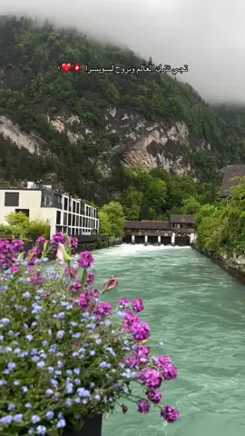 ها❤️؟ #explore #switzerland🇨🇭  #grindelwald#interlaken 