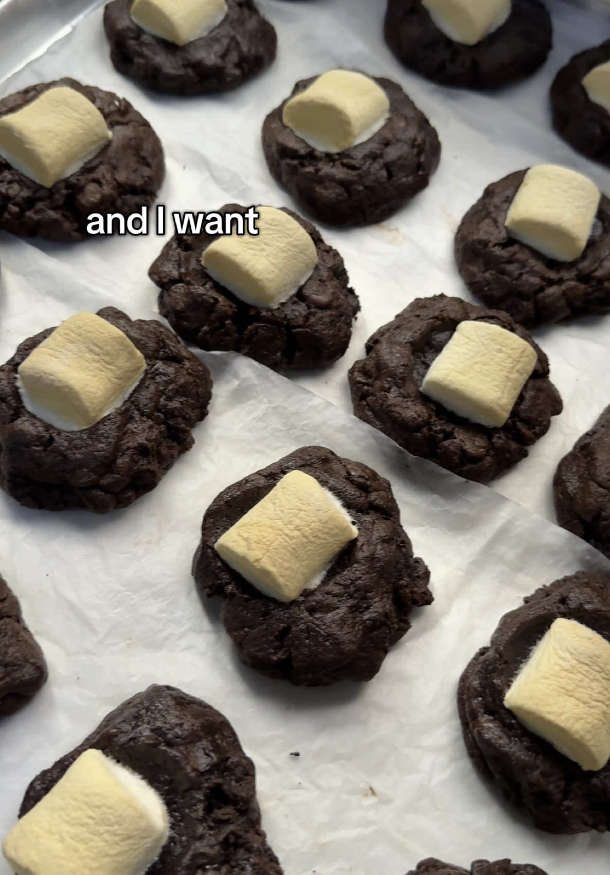 A chemical engineer baking soft cookies baik beli sebelum saya masuk Oil and Gas industry, nangis u nanti tak de cookies  #softcookies #softcookiesmalaysia #cookies #chocolatechip #redvelvet #amorasloves #smallcookiebusiness #smores #amorascookies #bakingcontent #viraldessert 