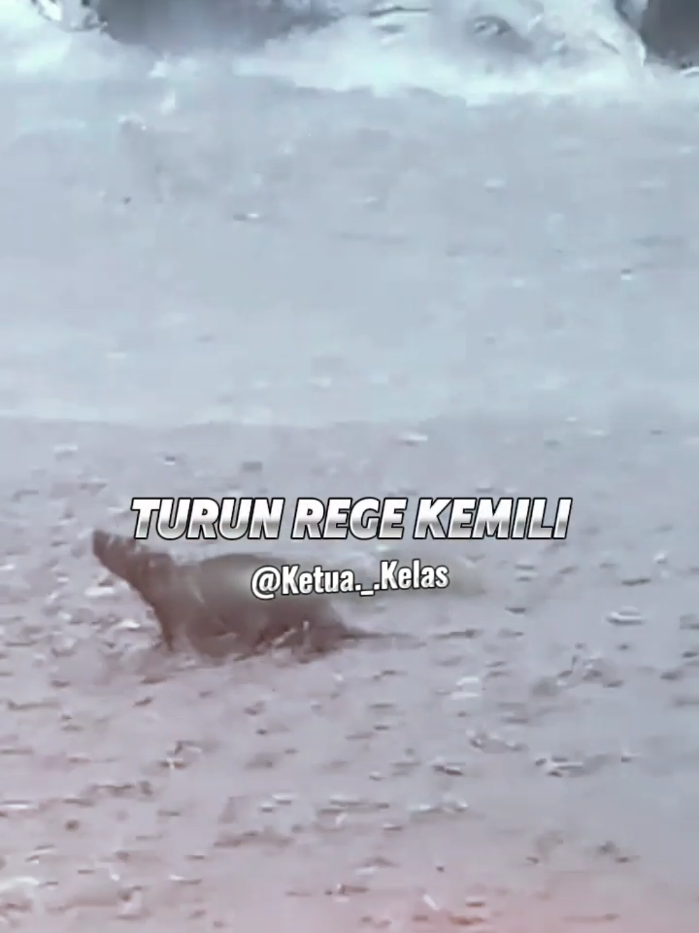 telohen baju telohen suel #uren #gayo 