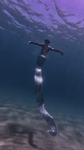 Bạch Xà? #freedivingnhatrang #freediver #nhatrang #underwater #fyp #xuhuong 