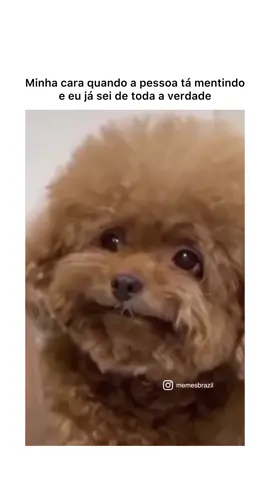 videos engracadas, videosengracados, vídeos engraçados, vídeo engraçado, o video engraçado, memes e engraçados, pegadinha engraçada 2025, videos engraçados para rir, vídeo engraçado para rir, virais do brasil, memesbrasileiros, videos engraçados para rir 2025, memes 2025 atualizados, vídeos engraçados 2025 atualizado, virais do brasil