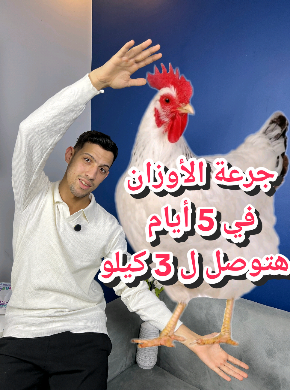 جرعة الأوزان في 5 أيام هتوصل كتكوتك ل 3 كيلو 🐔⬆️ #دواجن #تربيه_الدواجن #طبيب_بيطري #الاجهاد_الحراري #صيصان #مصر 
