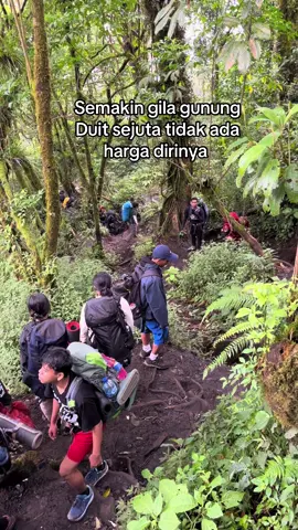 Hahah #pendakigunung #pendakiindonesia #mountain #fyp #pendakifomo 