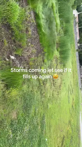 Before the storms