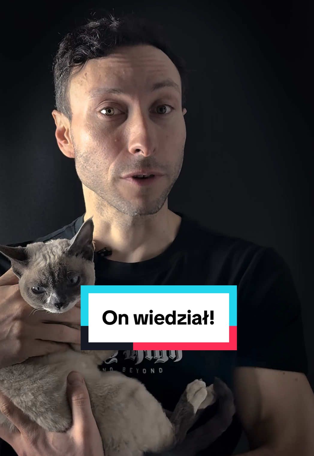 On patrzył … ale nie na mnie. I wtedy zrozumiałem wszystko. #motywacja #rozwojosobisty #kot #przebudzenie #depresja #rozwojduchowy #emocje 